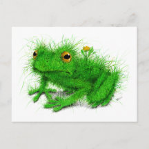 Grenouille verte