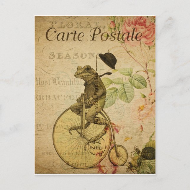 Carte postale grenouille vintage (Devant)