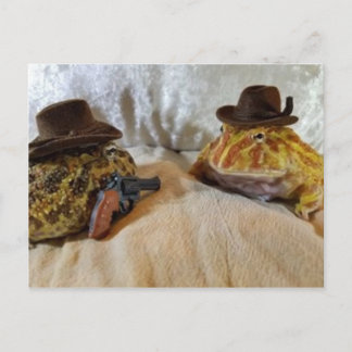 Carte Postale Grenouilles
