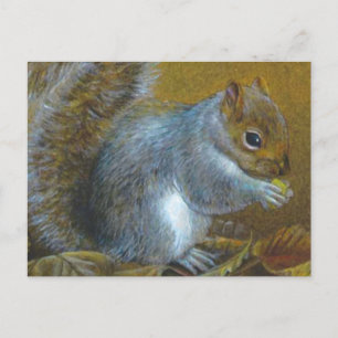 Carte Postale Grey squerrl with nut art painting postcard