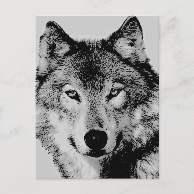 Carte postale Grey Wolf Eyes (Devant)