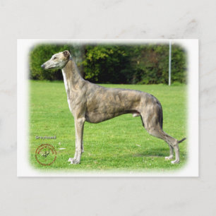 Carte Postale Greyhound 9J007D-14