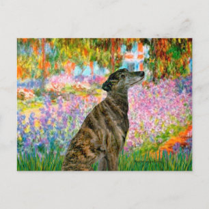 Carte Postale Greyhound (br2) - Jardin