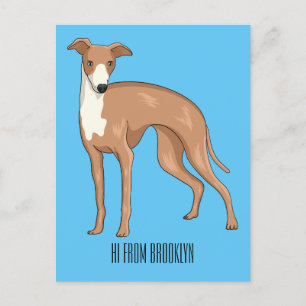 Carte Postale Greyhound dog
