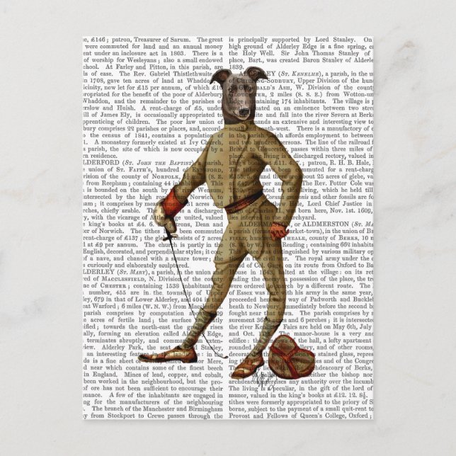 Carte Postale Greyhound Fencer Dark Full 2 (Devant)