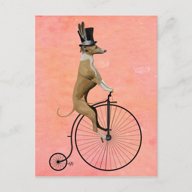 Carte Postale Greyhound sur Black Penny Farthing (Devant)