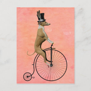 Carte Postale Greyhound sur Black Penny Farthing