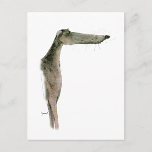 Carte Postale Greyhound, tony fernandes