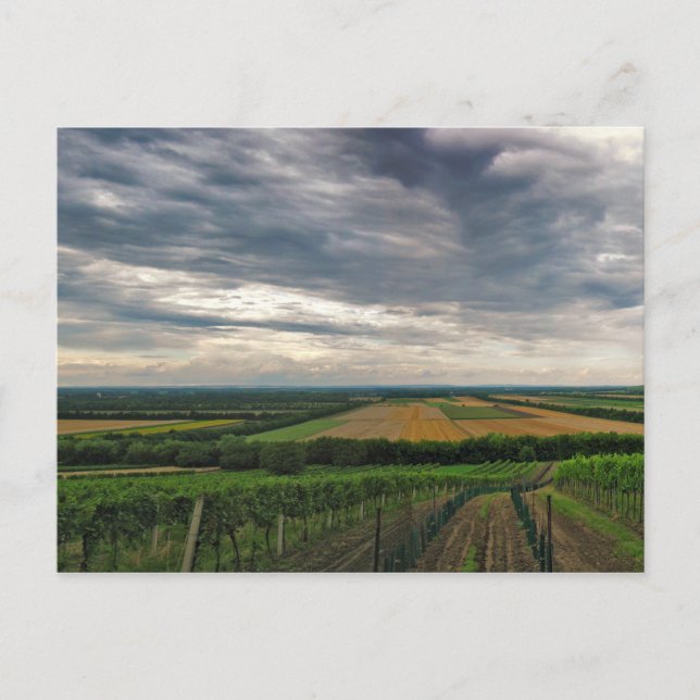 Carte postale "Griffin" (Devant)