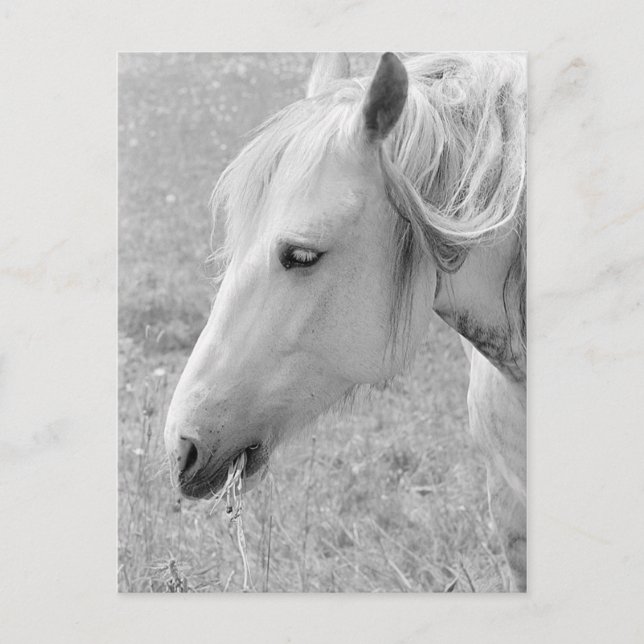 Carte Postale Gris (Devant)