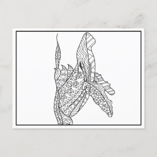 Carte postale Gris Baleine noire et blanche