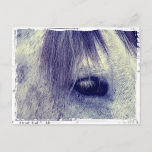 Carte Postale Gris vintage