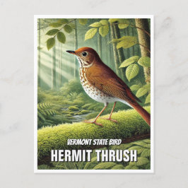 Carte Postale Grive d'ermite d'oiseaux du Vermont