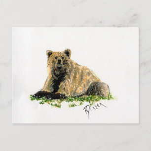Carte postale Grizzly Bear