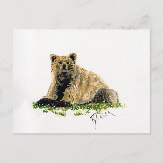 Carte postale Grizzly Bear (Devant)