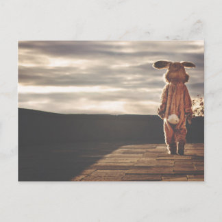 Carte Postale Gros lapin