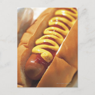 Carte Postale gros plan d'un hot-dog