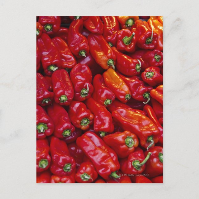 Carte Postale Gros plan sur les poivrons rouges (Devant)