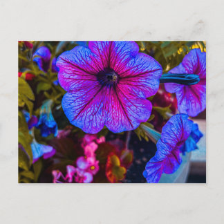 Carte Postale Gros plan sur pétunia | Ville des arbres