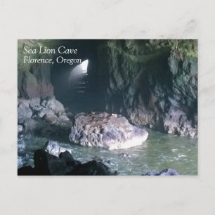 Carte Postale Grotte de lion de mer, OU