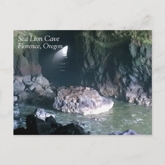 Carte Postale Grotte de lion de mer, OU (Devant)