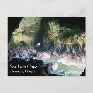 Carte Postale Grotte de lion de mer, OU