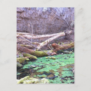 Carte Postale Grotte verte