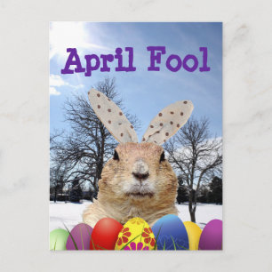 Carte Postale Groundhog April Fool Day