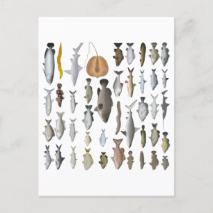 Carte Postale Groupe de poissons d'eau douce Australie