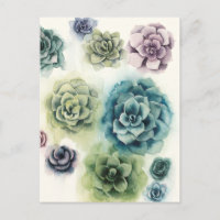 Groupe de succulents