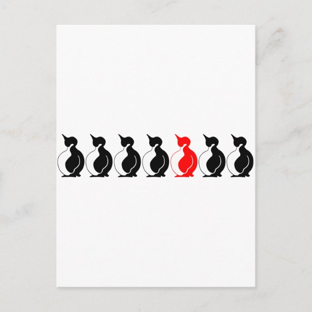 Carte Postale Groupe Pingouin rond (Devant)