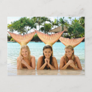 Carte Postale Groupe Sur La Plage