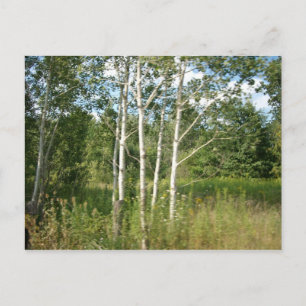 Carte postale groupée