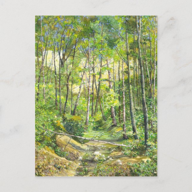 Carte Postale grove (Devant)