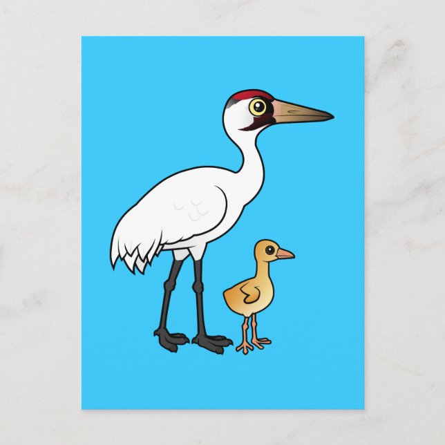 Carte Postale Grue blanche avec poussin (Devant)