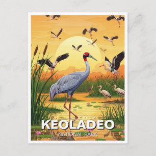 Carte Postale Grue dans le parc national de Keoladeo, voyage en 