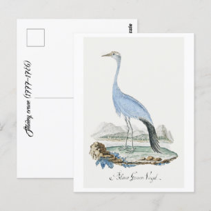 Carte Postale Grue Stanley (1777-1786)