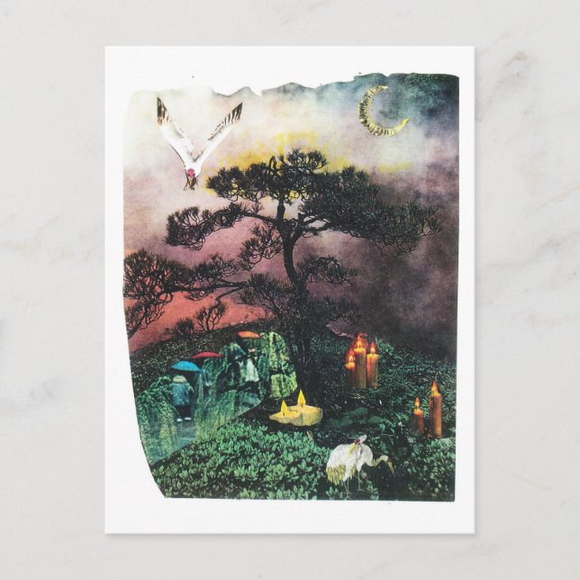 Carte Postale grues (Devant)