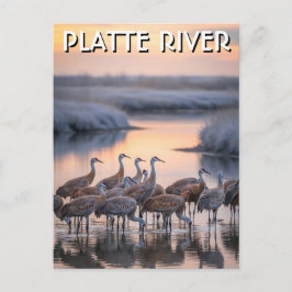 Carte Postale Grues de la rivière Platte Nebraska Voyage