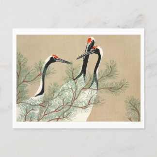 Carte Postale Grues de Momoyogusa