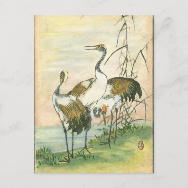 Carte Postale Grues orientales au bord de l'eau (Devant)