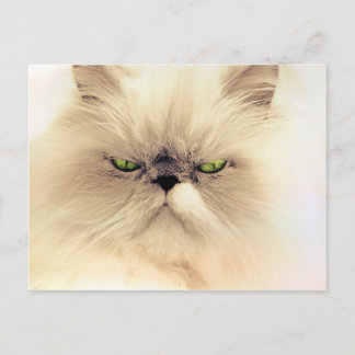 Carte Postale Gruffy pelucheux Kitty
