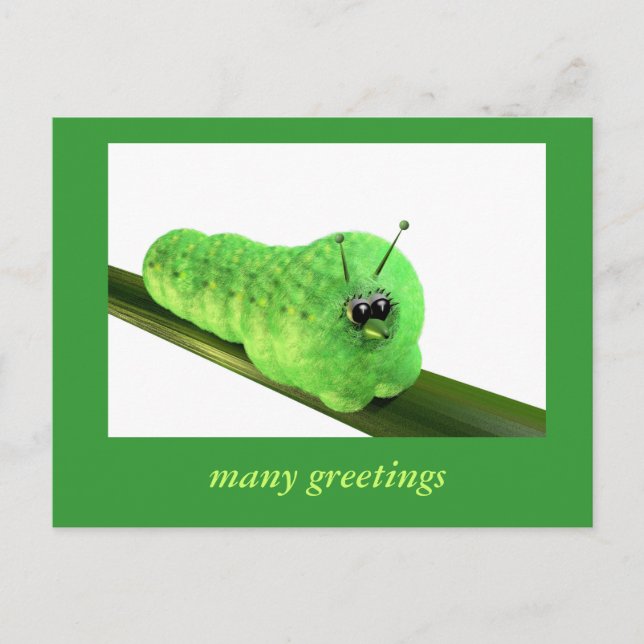 Carte Postale Grüne Raupe (Devant)