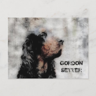 Carte postale grunge Gordon Setter