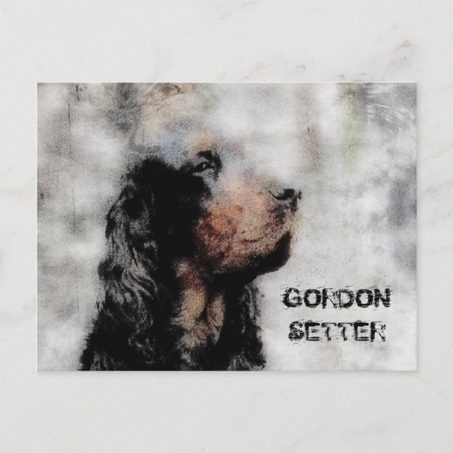 Carte postale grunge Gordon Setter (Devant)