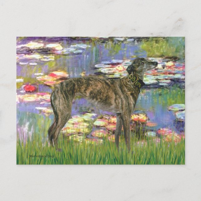 Carte Postale Gryhound (br8) - Lys 2 (Devant)