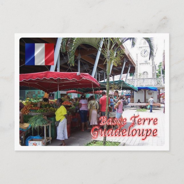 Carte Postale Guadeloupe - Basse Terre - (Devant)