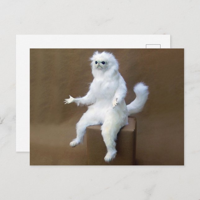 Carte Postale Guardian Meme (Devant / Derrière)