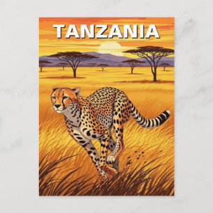 Carte Postale Guépard dans le parc national du Serengeti Tanzani