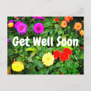 Carte postale Guérissez vite Divers Dahlia #1